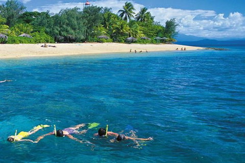 Wavedancer Low Isles Great Barrier Reef Sailing Cruise From Port Douglas - Find Attractions 0