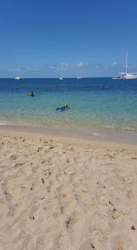 Wavedancer Low Isles Great Barrier Reef Sailing Cruise From Port Douglas - Find Attractions 7