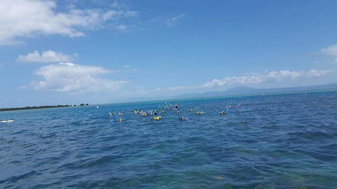 Wavedancer Low Isles Great Barrier Reef Sailing Cruise From Port Douglas - Find Attractions 4
