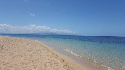Wavedancer Low Isles Great Barrier Reef Sailing Cruise From Port Douglas - Find Attractions 6