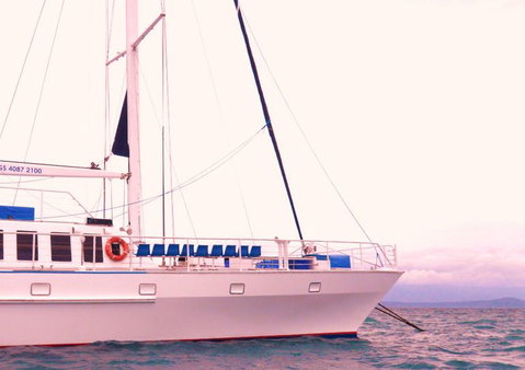 Wavedancer Low Isles Great Barrier Reef Sailing Cruise From Port Douglas - Find Attractions 8
