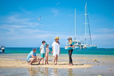 Wavedancer Low Isles Great Barrier Reef Sailing Cruise From Port Douglas - Find Attractions 16