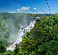 Skyrail Rainforest Cableway Day Trip from Port Douglas - Find Attractions