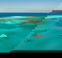 Great Barrier Reef Dive and Snorkel Cruise from Mission Beach - Find Attractions