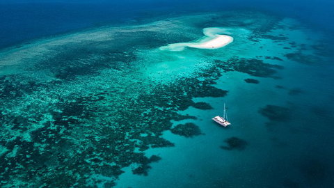 Outer Barrier Reef Sailing And Snorkeling Adventure From Port Douglas - Find Attractions 0