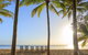 Port Douglas Round-Trip Transfer From Cairns With Free Time In Port Douglas - thumb 1