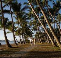 Port Douglas Round-Trip Transfer from Cairns with Free Time in Port Douglas - Find Attractions