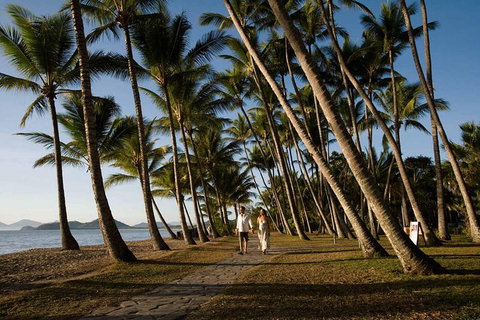 Port Douglas Round-Trip Transfer From Cairns With Free Time In Port Douglas - Find Attractions 0