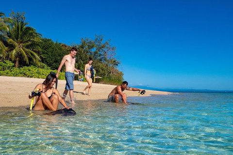 Half Day Low Isles Snorkelling Tour From Port Douglas - Find Attractions 0