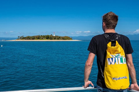 Half Day Low Isles Snorkelling Tour From Port Douglas - Find Attractions 1