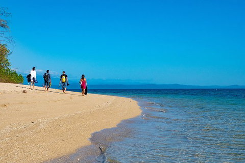 Half Day Low Isles Snorkelling Tour From Port Douglas - Find Attractions 3