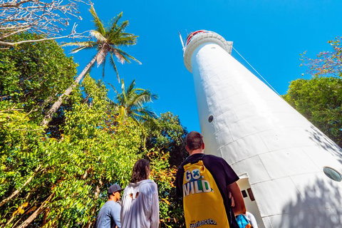 Half Day Low Isles Snorkelling Tour From Port Douglas - Find Attractions 7