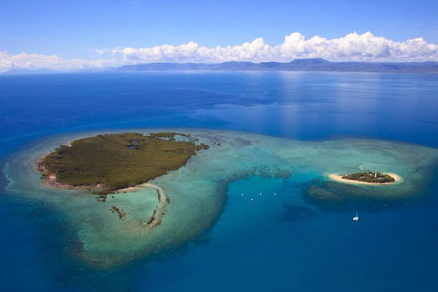Half Day Low Isles Snorkelling Tour From Port Douglas - Find Attractions 4