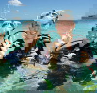 Ocean Spirit Michaelmas Cay Dive and Snorkel Cruise from Palm Cove - Find Attractions