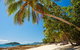 Private Daintree Wanderer Tour - thumb 4
