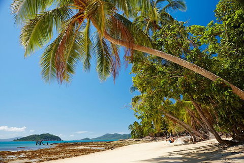 Private Daintree Wanderer Tour - Find Attractions 4