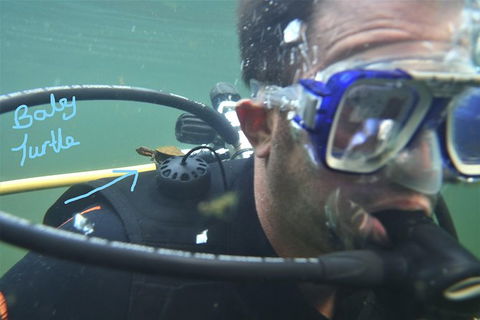 Rainforest Platypus Night Dive (Certified Divers Only Once Day Dive Completed) - Find Attractions 4
