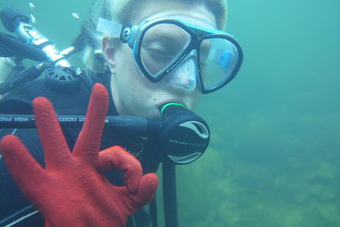Rainforest Platypus Night Dive (Certified Divers Only Once Day Dive Completed) - Find Attractions 5