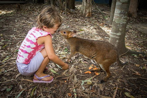 Hartley's Crocodile Adventures Day Trip From Cairns - Find Attractions 1
