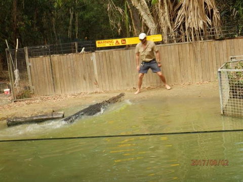 Hartley's Crocodile Adventures Day Trip From Cairns - Find Attractions 8