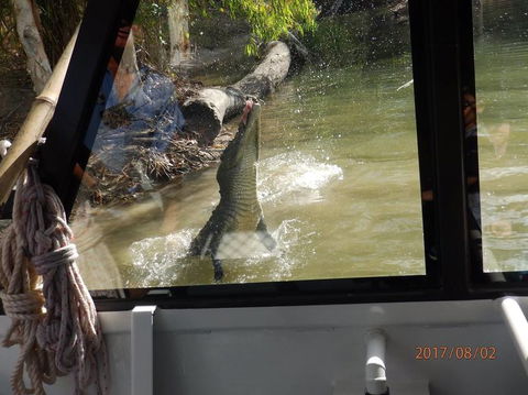 Hartley's Crocodile Adventures Day Trip From Cairns - Find Attractions 5