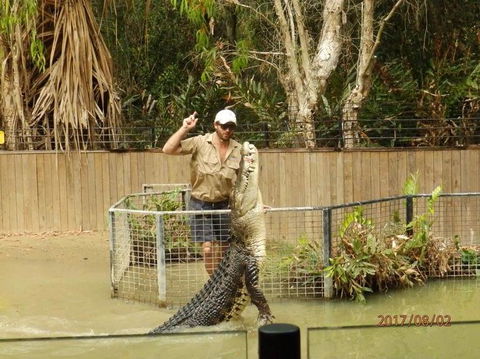 Hartley's Crocodile Adventures Day Trip From Cairns - Find Attractions 2