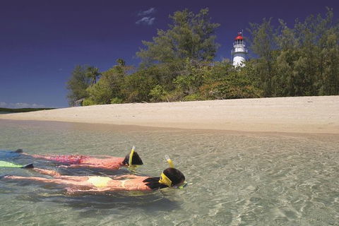 Wavedancer Low Isles Great Barrier Reef Sailing Cruise From Palm Cove - Find Attractions 0
