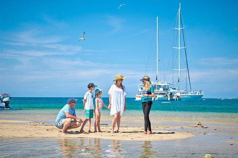 Wavedancer Low Isles Great Barrier Reef Sailing Cruise From Palm Cove - Find Attractions 3