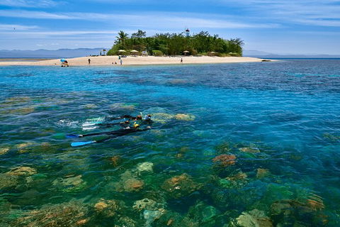 Wavedancer Low Isles Great Barrier Reef Sailing Cruise From Palm Cove - Find Attractions 9