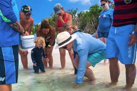 Whitehaven Beach And Hill Inlet Chill And Grill - Find Attractions 1