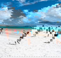 Whitehaven Beach and Hamilton Island Cruise - Find Attractions
