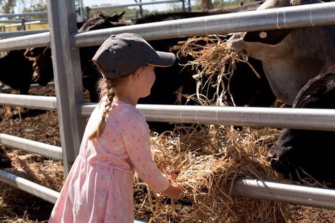 Mackay Farm Food And Flavours Tour - Find Attractions 0