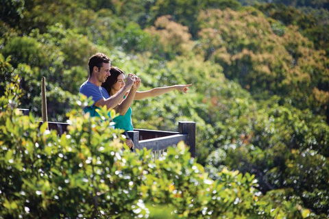 Conway National Park Coral Beach Walk Including Shute Harbour From Airlie Beach - Find Attractions 0
