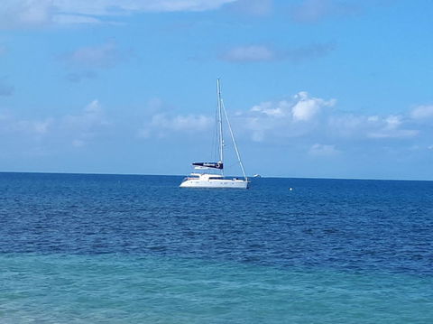 Afternoon Low Isles Snorkeling And Sailing Cruise From Port Douglas - Find Attractions 7