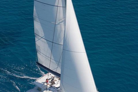 Afternoon Low Isles Snorkeling And Sailing Cruise From Port Douglas - Find Attractions 11