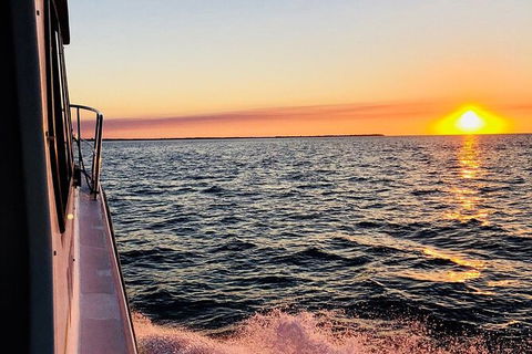 Hervey Bay Whale Swim And Watch - Find Attractions 7