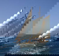 Tallship Sailing and Snorkeling Adventure from the Whitsundays - Find Attractions