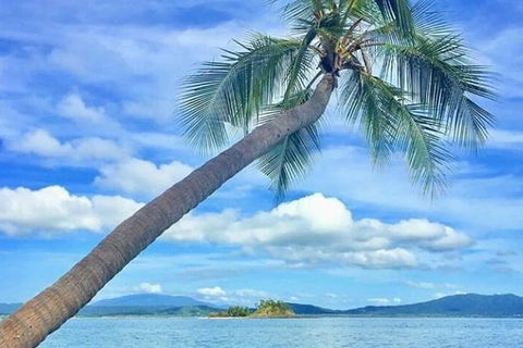 Dunk Island Round-Trip Water Taxi Transfer From Mission Beach - Find Attractions 6
