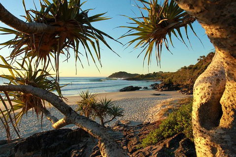 Overnight Tweed Coast Camping And Surfing Getaway From The Gold Coast - Find Attractions 5