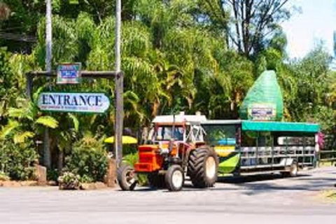 Tropical Fruit World With Wildlife Boat Cruise From Gold Coast - Find Attractions 2
