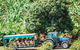 Tropical Fruit World With Wildlife Boat Cruise From Gold Coast - thumb 14