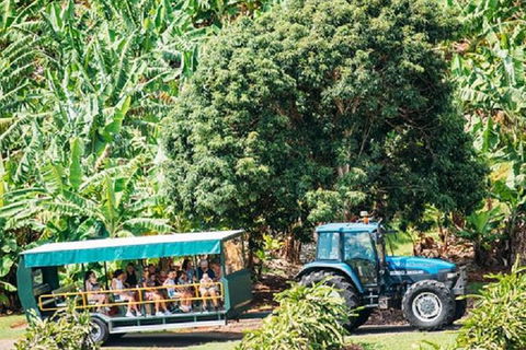Tropical Fruit World With Wildlife Boat Cruise From Gold Coast - Find Attractions 14