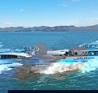 Whitsunday Island Boat Adventure - Find Attractions
