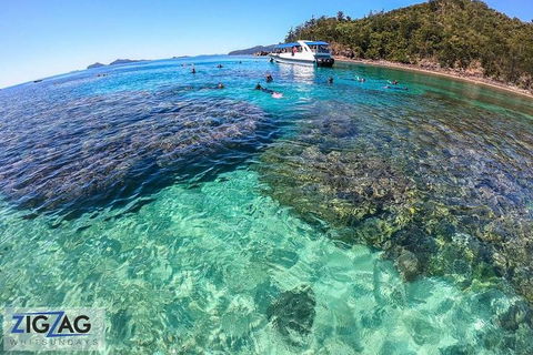 Whitehaven Beach Day Tour With Snorkel In Whitsundays Island - Find Attractions 8