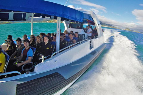 Whitehaven Beach Day Tour With Snorkel In Whitsundays Island - Find Attractions 12