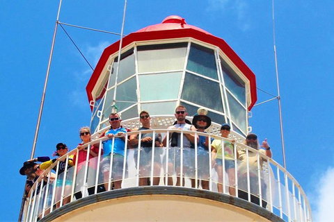 Full-Day 1770 Tour By LARC Amphibious Vehicle Including Sandboarding And Bustard Head Lightstation - Find Attractions 4