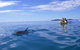 Half-Day Kayak With Dolphins And 4WD Beach Drive From Rainbow Beach - thumb 9