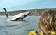 Half-Day Kayak With Dolphins And 4WD Beach Drive From Rainbow Beach - thumb 7