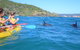 Half-Day Kayak With Dolphins And 4WD Beach Drive From Rainbow Beach - thumb 3
