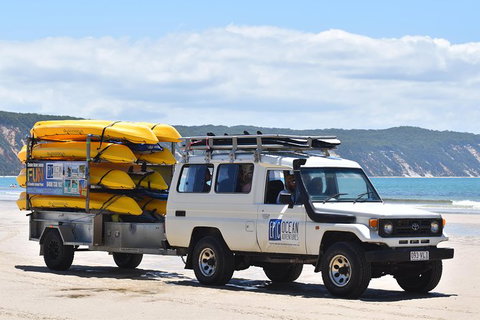 Half-Day Kayak With Dolphins And 4WD Beach Drive From Rainbow Beach - Find Attractions 13